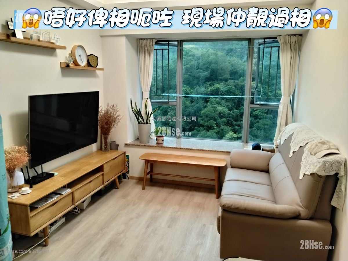 维景湾畔 售盘 2 房 499 平方尺