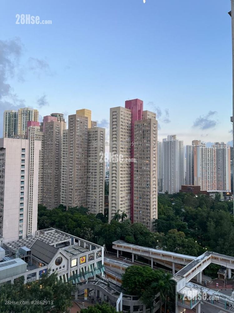 富佑大厦 租盘 1 房 , 1 浴室 239 平方尺