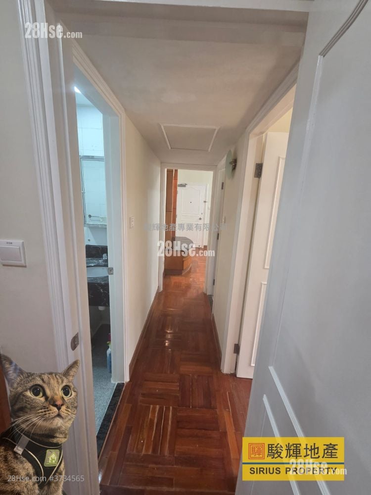 南昌中心 租盘 2 房 , 1 浴室 366 平方尺