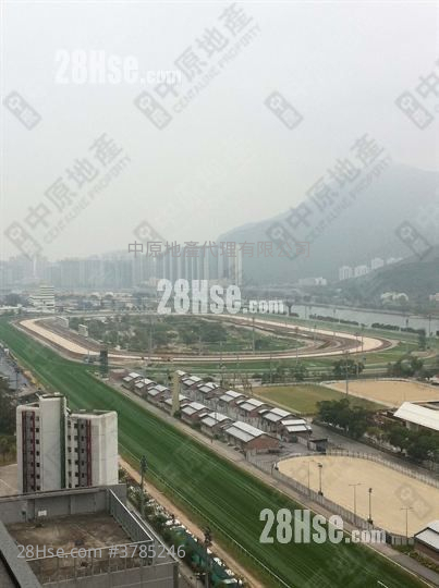 The Palazzo Sell 4 Bedrooms , 3 Bathrooms 1,016 ft²