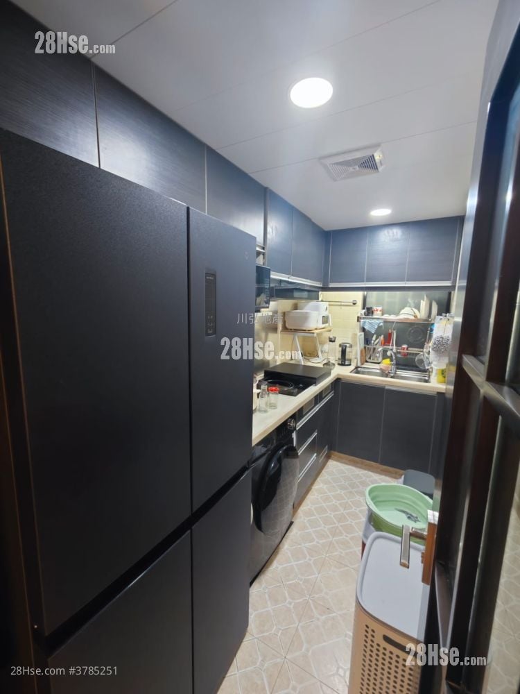 柏树街6号 售盘 1 房 , 1 浴室 465 平方尺