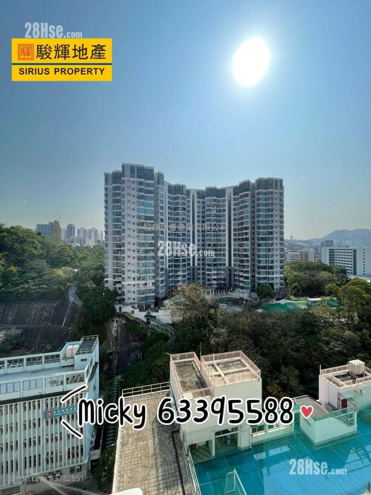 文豪阁 售盘 2 房 , 1 浴室 424 平方尺