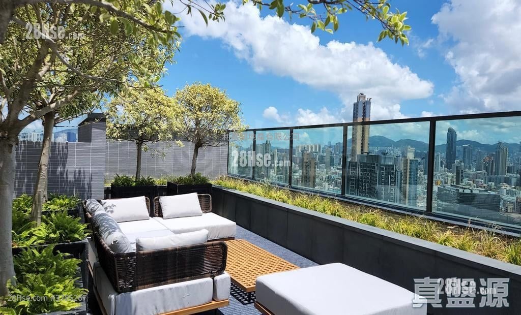 睿峰 售盘 1 房 300 平方尺