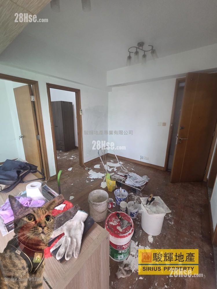 Hey Home Rental 2 Bedrooms , 1 Bathroom 365 ft²