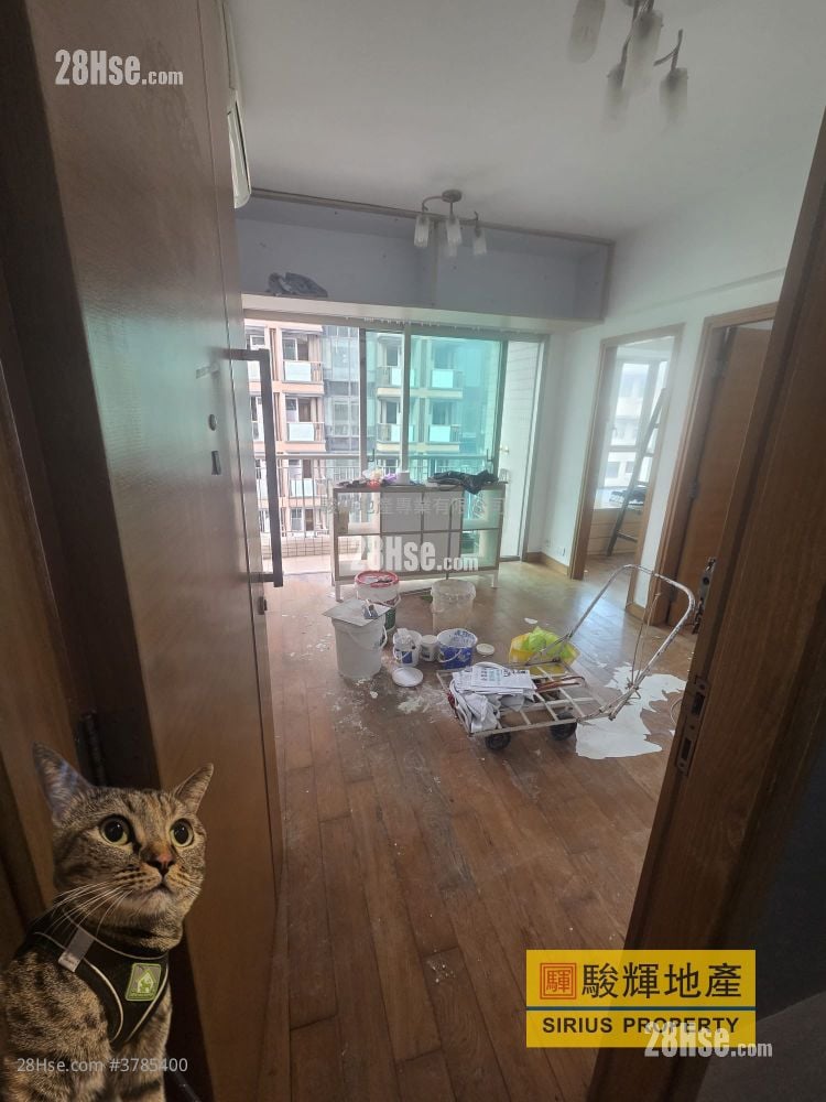 Hey Home Rental 2 Bedrooms , 1 Bathroom 365 ft²