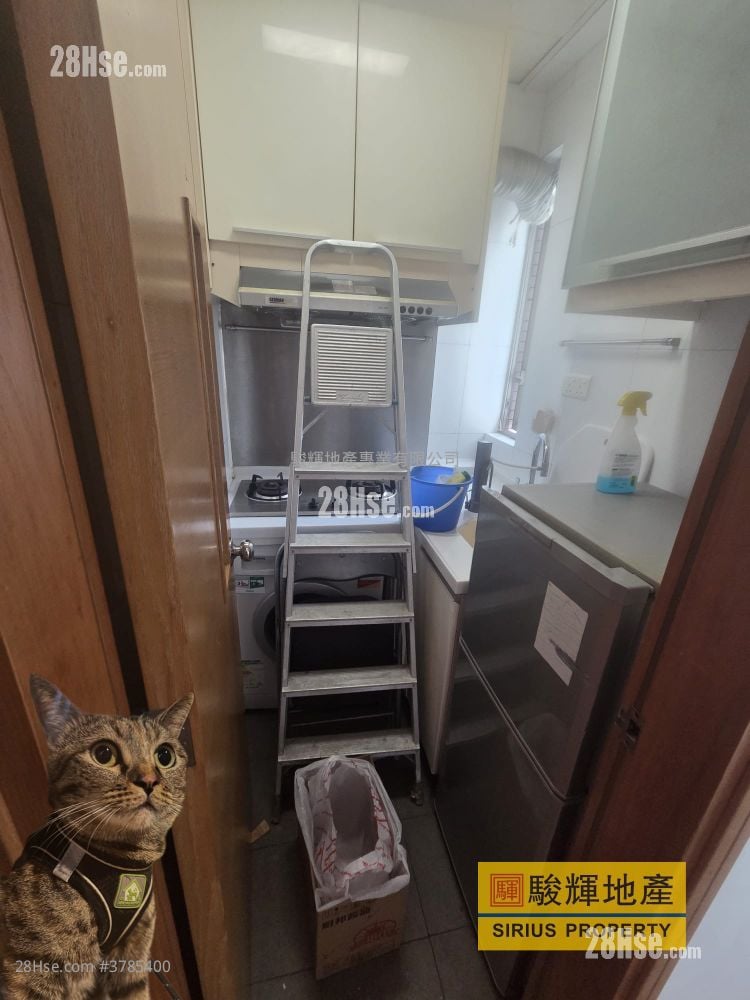 Hey Home Rental 2 Bedrooms , 1 Bathroom 365 ft²