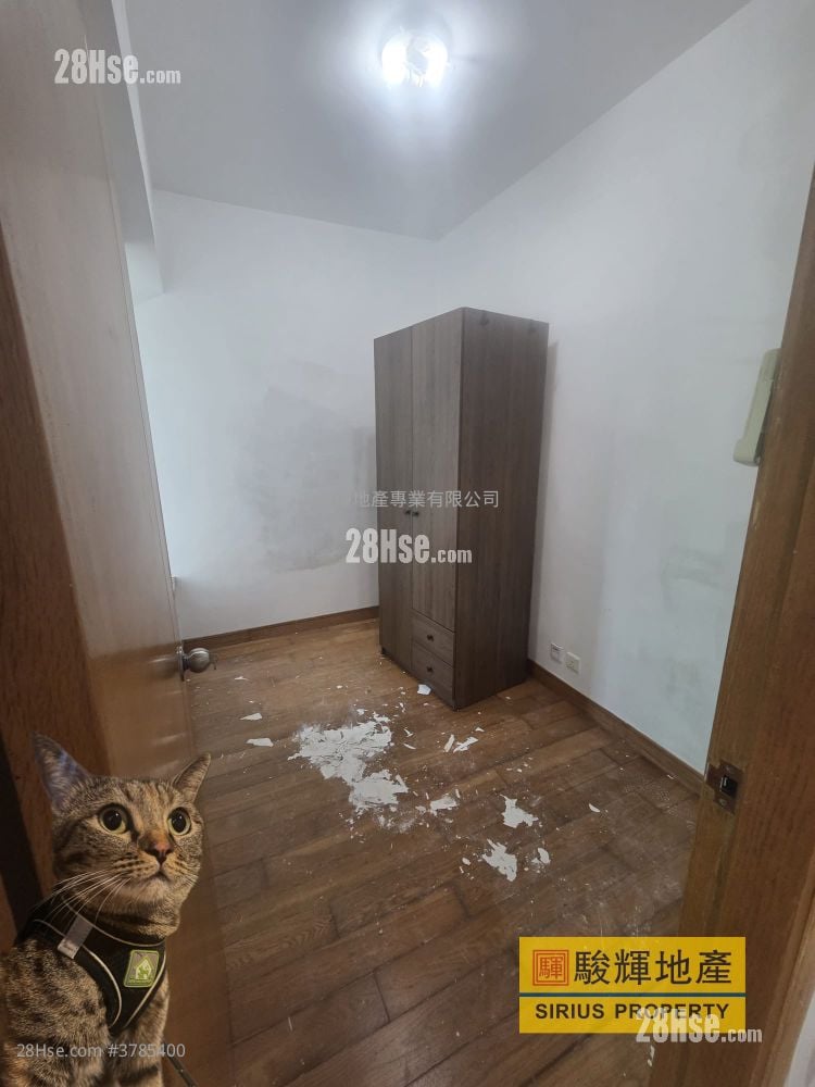 Hey Home Rental 2 Bedrooms , 1 Bathroom 365 ft²