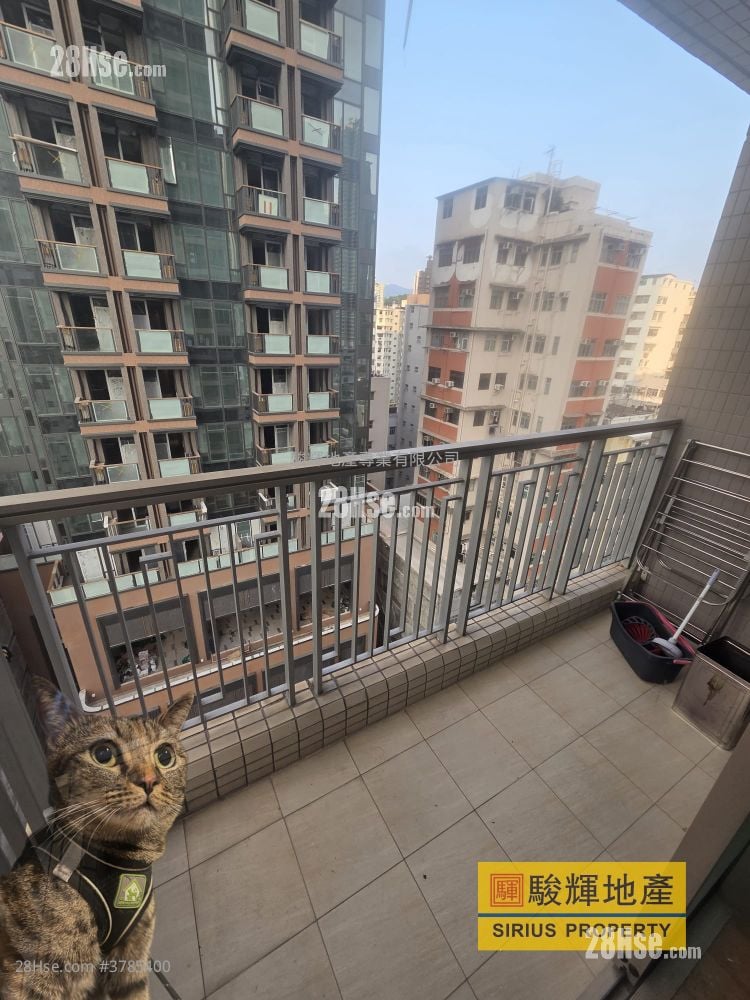 Hey Home Rental 2 Bedrooms , 1 Bathroom 365 ft²