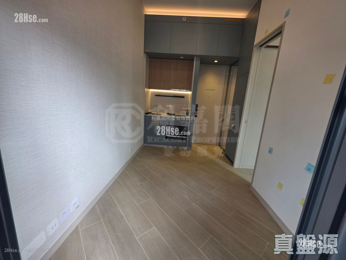 晓柏峰 售盘 1 房 247 平方尺