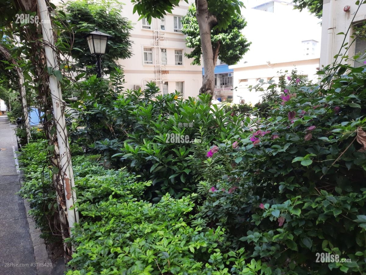 本立台 售盘 3 房 , 2 浴室 1,173 平方尺