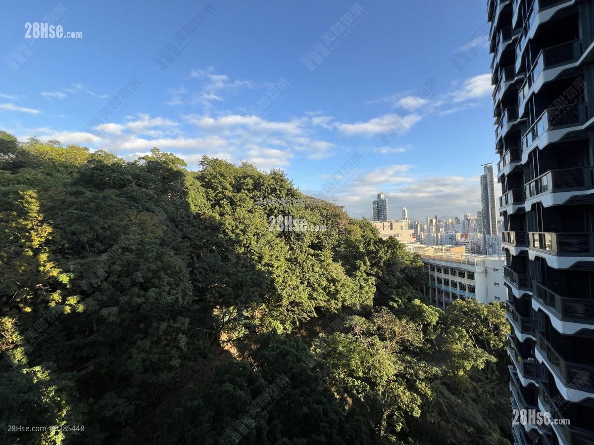 晓柏峰 售盘 1 房 , 1 浴室 250 平方尺