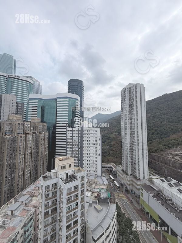 Finnie 租盘 1 房 245 平方尺