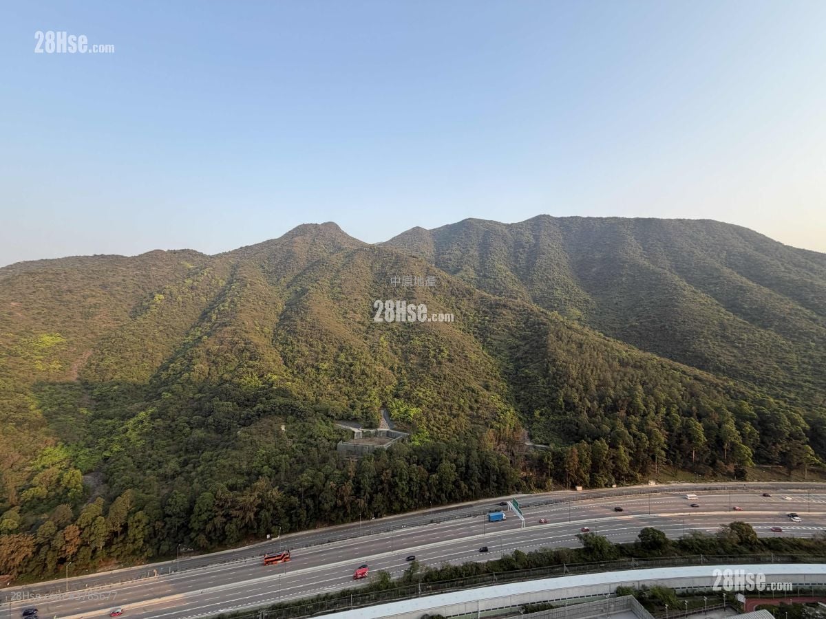 Caribbean Coast Rental 2 Bedrooms , 1 Bathroom 495 ft²