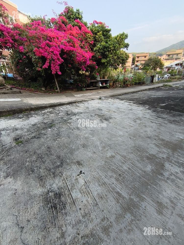 Village Rental 1 Bedroom , 1 Bathroom 480 ft²