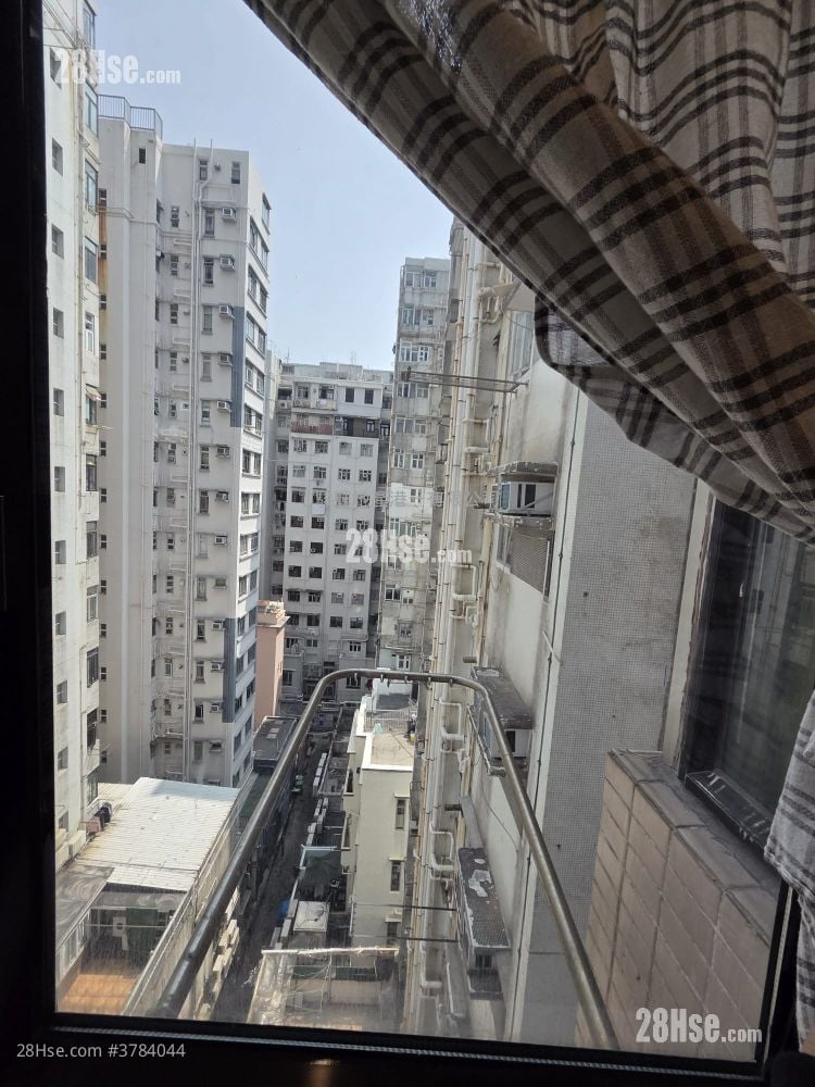 Strong Good Building Rental 1 Bedroom , 1 Bathroom 268 ft²