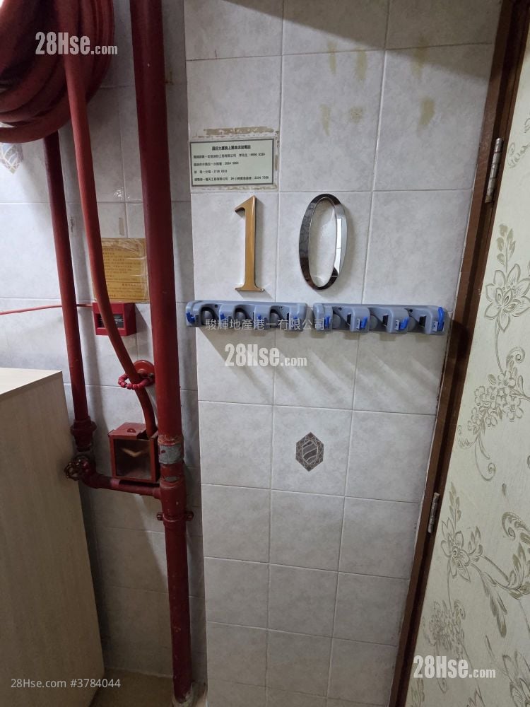 Strong Good Building Rental 1 Bedroom , 1 Bathroom 268 ft²