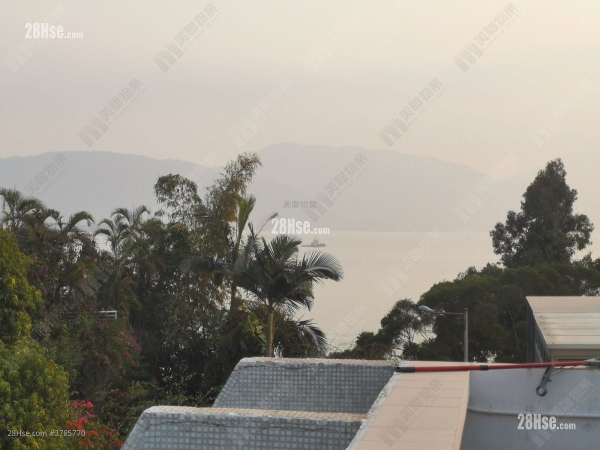 青丽湾别墅 售盘 1,371 平方尺