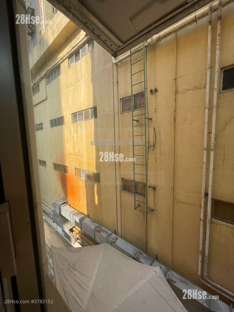 欢乐楼 租盘 3 房 , 1 浴室 350 平方尺