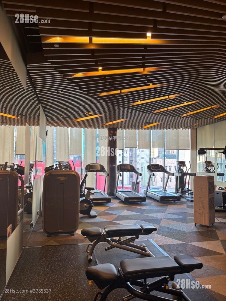 Chatham Gate Rental Studio , 1 Bathroom 300 ft²