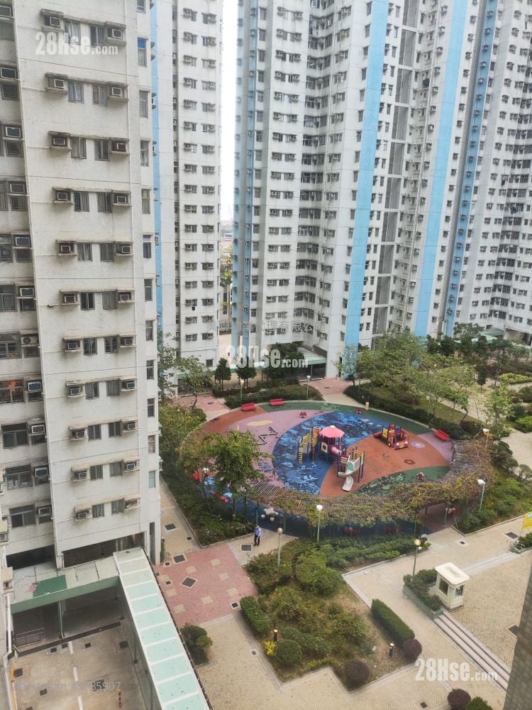 富健花园 售盘 3 房 , 2 浴室 592 平方尺