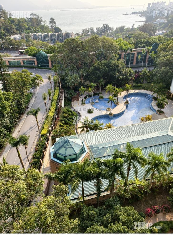 Palatial Coast Sell 3 Bedrooms , 3 Bathrooms 1,212 ft²