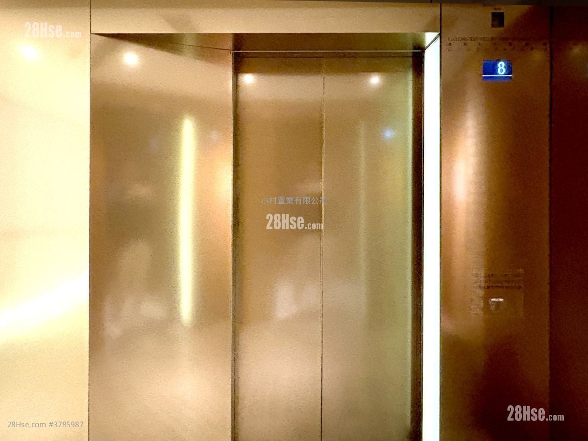 other: Elevator