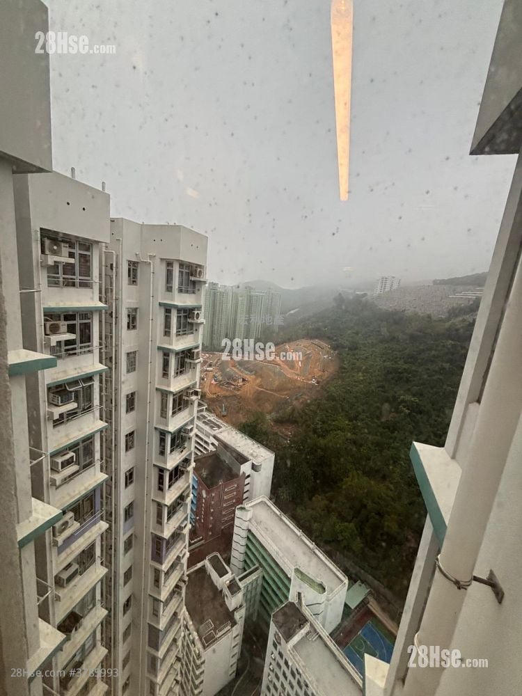 蝶翠苑 售盘 1 房 , 1 浴室 287 平方尺