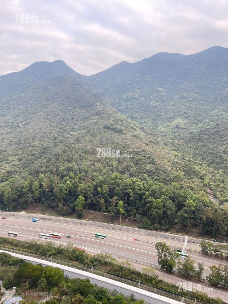 映湾园 售盘 2 房 , 1 浴室 565 平方尺