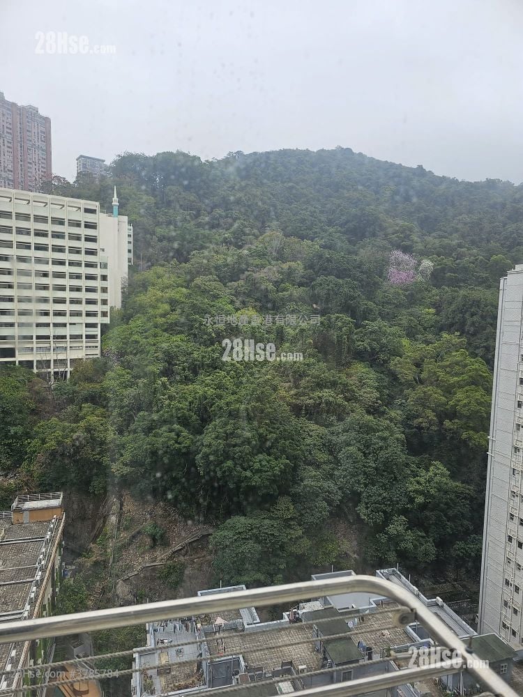 翠峦阁 租盘 3 房 , 2 浴室 1,517 平方尺