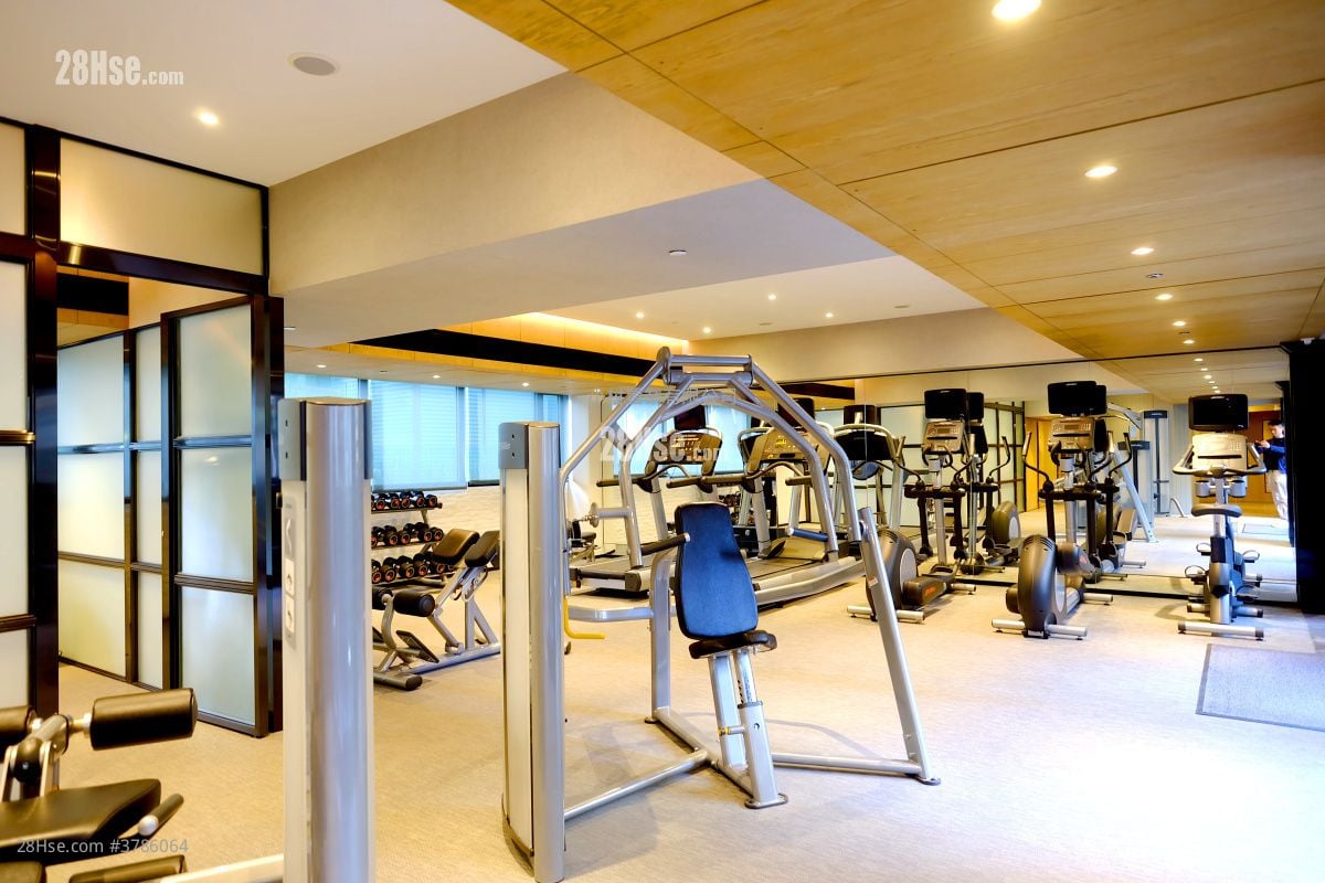 Clubhouse: Star Studios Rental Studio , 1 Bathroom 228 ft²