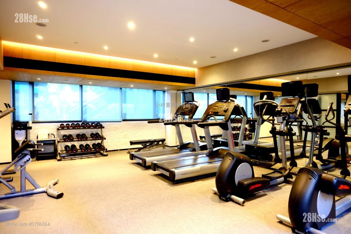 Clubhouse: Star Studios Rental Studio , 1 Bathroom 228 ft²