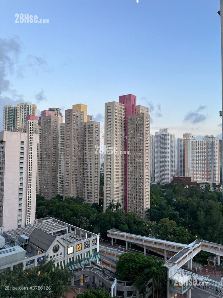 富佑大厦 租盘 239 平方尺