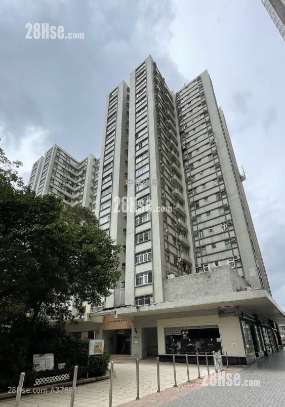 鲤景湾 租盘 2 房 , 1 浴室 485 平方尺