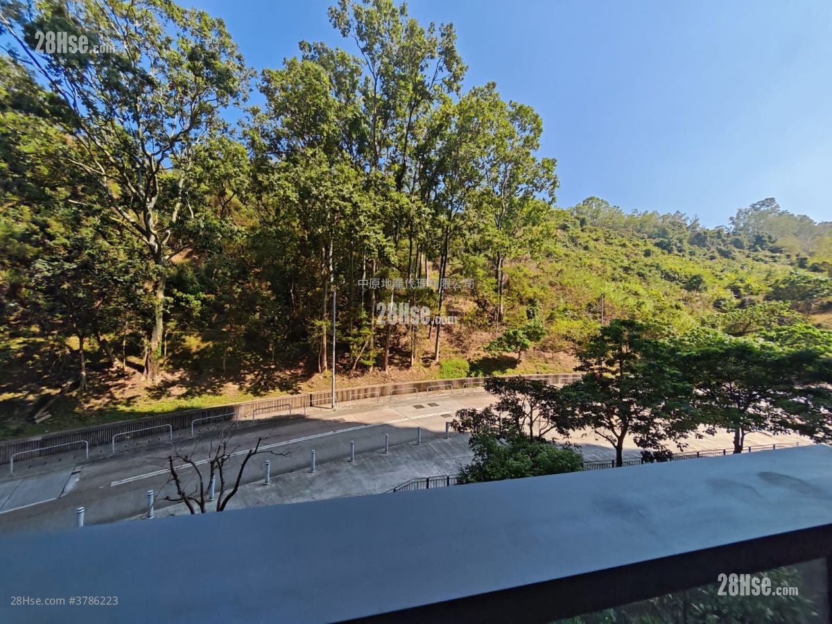 The Regent Rental 372 ft²