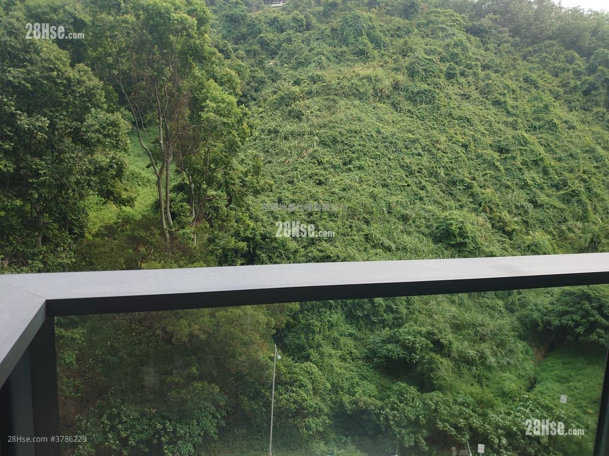 The Regent Rental 2 Bedrooms 525 ft²