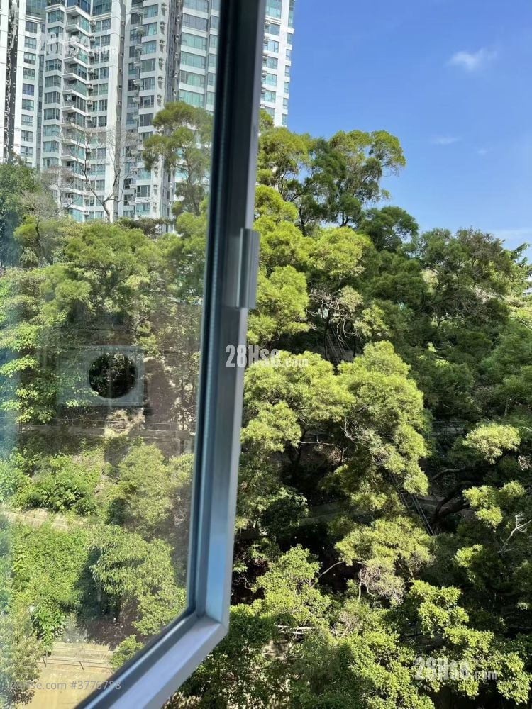 泽丰大厦 租盘 1 房 , 1 浴室 200 平方尺