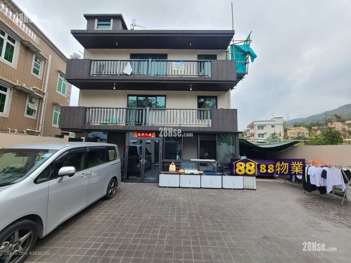 粉嶺村屋 售盤 3 房 , 2 浴室