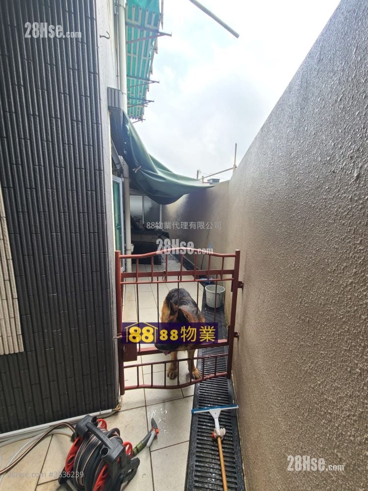 粉嶺村屋 售盤 3 房 , 2 浴室