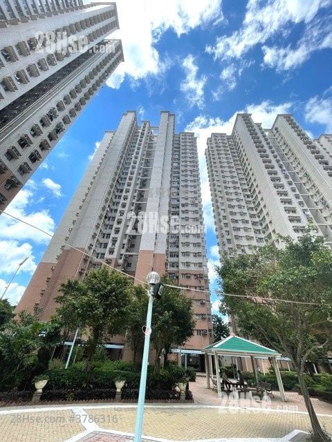 富欣花园 售盘 2 房 484 平方尺