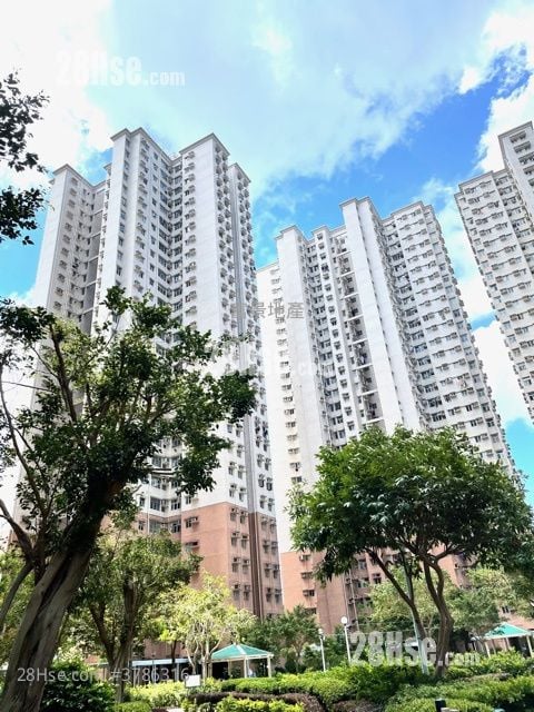 富欣花园 售盘 2 房 484 平方尺