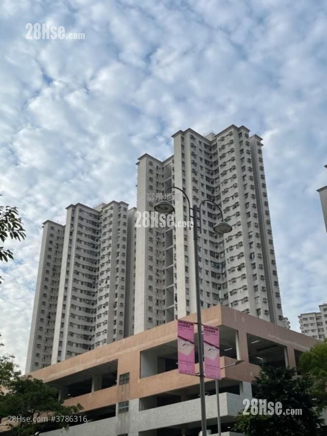 富欣花园 售盘 2 房 484 平方尺