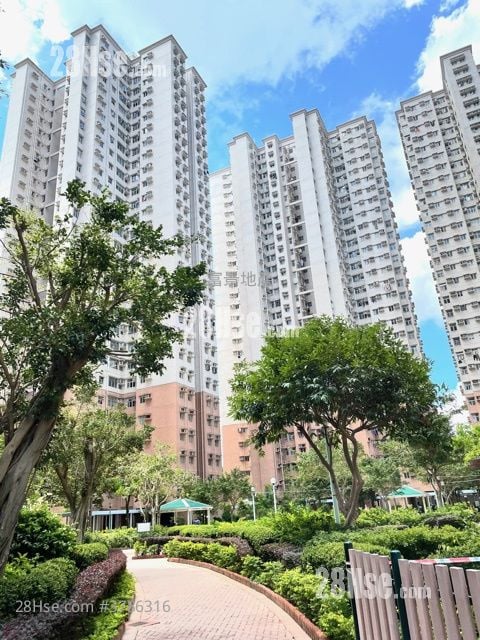 富欣花园 售盘 2 房 484 平方尺