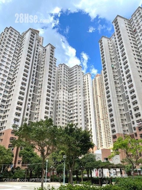 富欣花园 售盘 2 房 484 平方尺