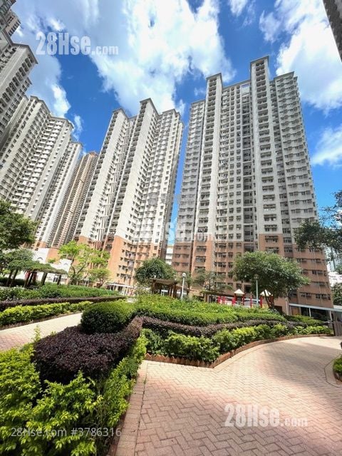 富欣花园 售盘 2 房 484 平方尺