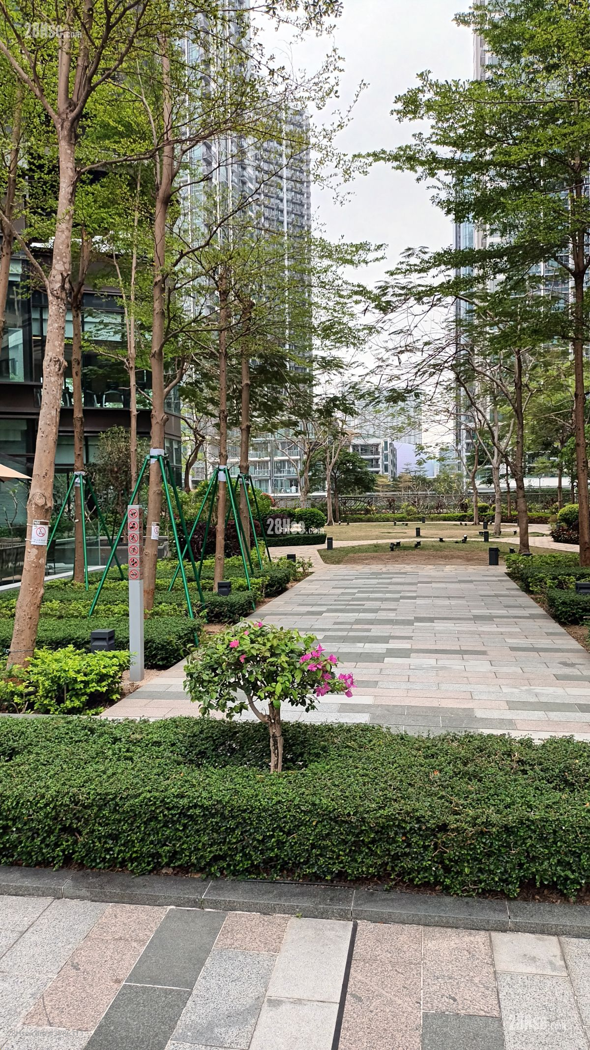 Vibe Centro Rental 1 Bedroom , 1 Bathroom 356 ft²