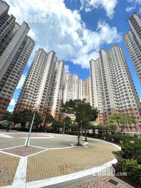 富欣花园 售盘 2 房 484 平方尺