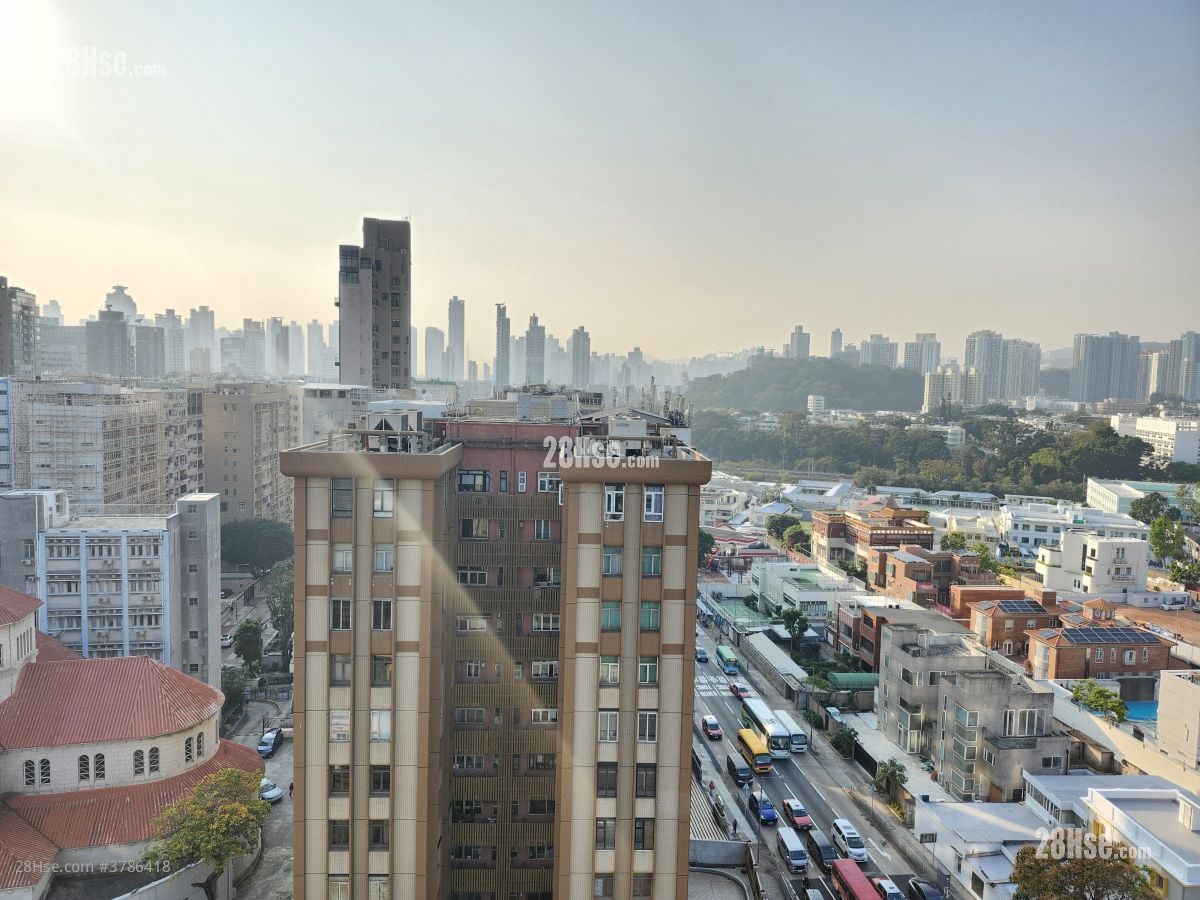 128 Waterloo 租盘 1 房 , 1 浴室 342 平方尺