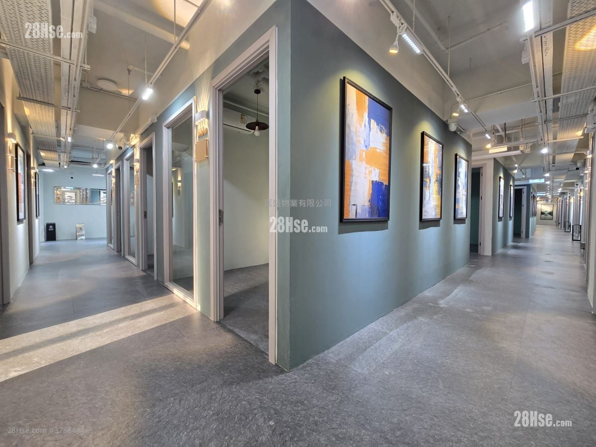 荔枝角道822号 租盘