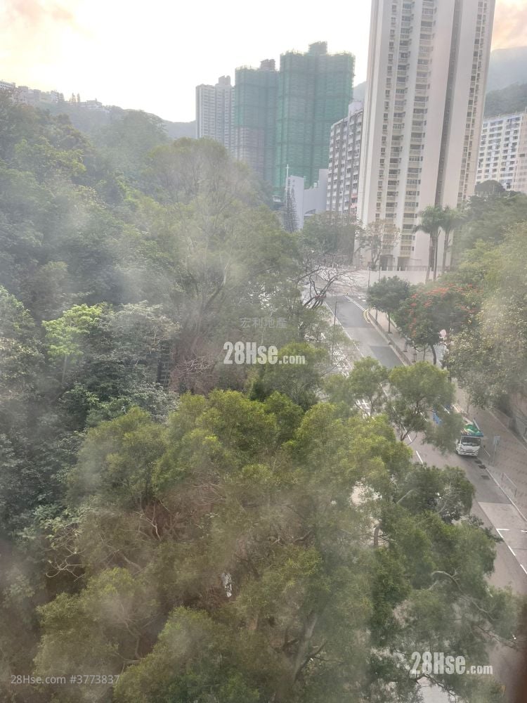 仁乐大厦 售盘 2 房 , 1 浴室 289 平方尺