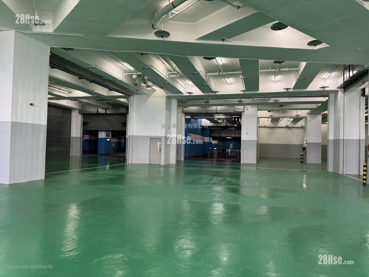 Kwai Chung Ramp Access Warehouse Rental